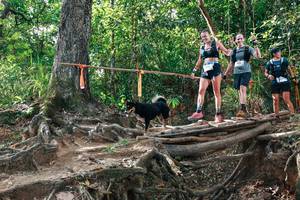 BIB: 
                            <button type="button" onclick="openModal(27555630)" class="btn btn-primary btn-sm float-right btn-popup" data-toggle="modal" data-target=".modal-high-quality">
                        <i class="fas fa-shopping-cart"></i> Add to Cart
                    </button>
                                            <button type="button" onclick="isThisMe(27555630, true)" class="btn btn-success btn-sm float-right btn-popup btn-isme hidden" data-toggle="tooltip" data-placement="bottom" title="นี่คือรูปของคุณใช่ไหม คลิกที่นี่เพื่อเอาเข้าอัลบั้ม">
                        <i class="fas fa-plus"></i> Add to album
                    </button>
                    <button type="button" onclick="isThisMe(27555630, false)" class="btn btn-warning btn-sm float-right btn-popup btn-isnotme hidden">
                        <i class="fas fa-ban"></i> Remove from album
                    </button>